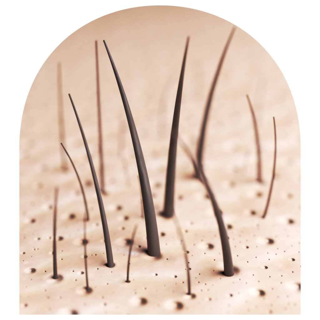 PRP Behandlung Berlin